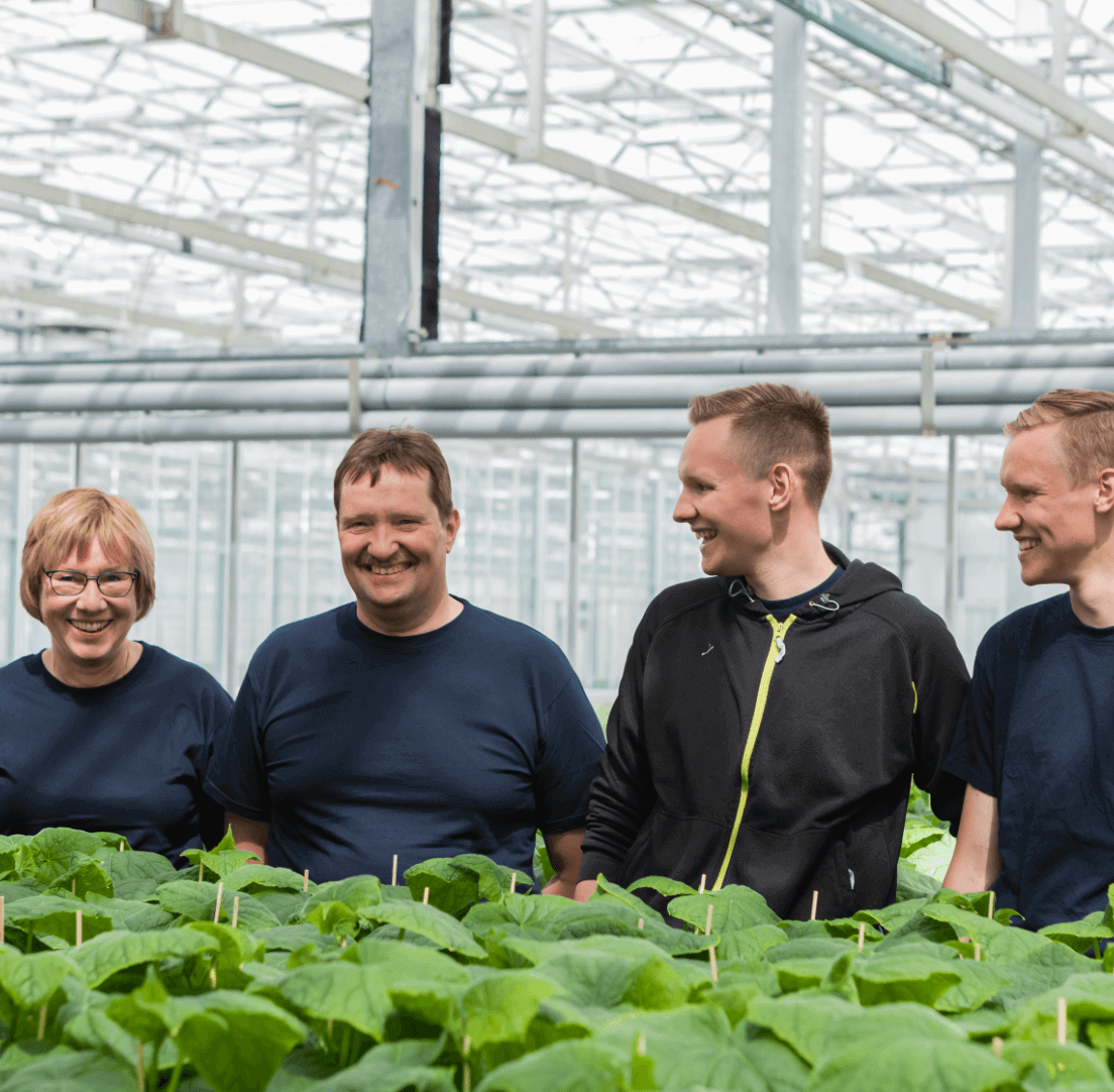 Oy Sigg-Plant Ab — Healthy seedlings for high yields